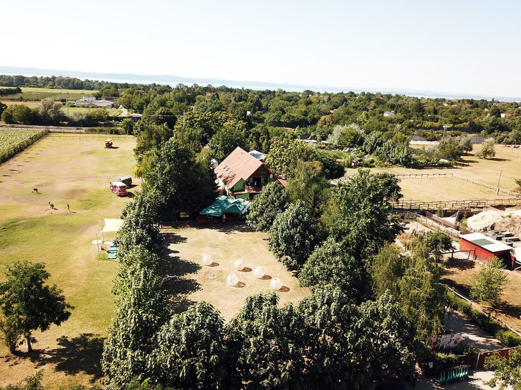 imgi 1 bella allatpark zoo siofok 2024